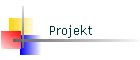 Projekt